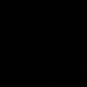 Meet your Posher, Nicolette